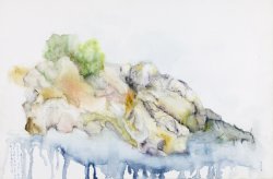 Face of the Sea - Life on a Rock, 2007, watercolor on canvas, 40 x 60 cm