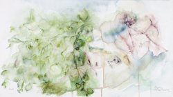 Capers I, 2008, watercolor on canvas, 40 x70 cm