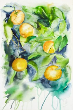 Oranges, 2007, watercolor on canvas, 40 x 60 cm