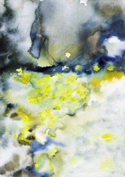 Spanish Broom I, 2005, watercolor on canvas, 25 x 35 cm