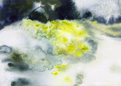 Spanish Broom II, 2005, watercolor on canvas, 25 x 35 cm