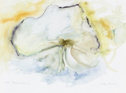 Stone Surface II, 2008, watercolor, 36 x 48 cm