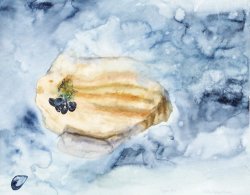 Mussels, 2006, watercolor, 40 x 50 cm