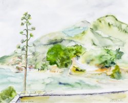 Agave, 2004, watercolor, 40 x 50 cm