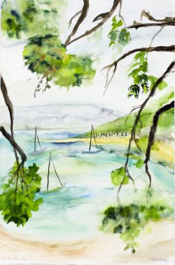 Black Pine, ?, watercolor, 57 x 38 cm