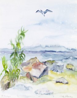 Jonathan III, 2004, watercolor, 40 x 50 cm