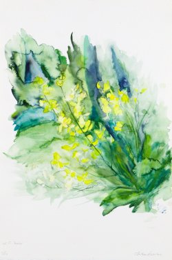 Spring I, 2005, watercolor, 38 x 57 cm
