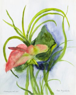 Non-emancipated Flower, 2000, watercolor, 40 x 50 cm