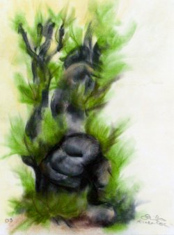 Tamarisk, 2003, pastel, 36 x 48 cm