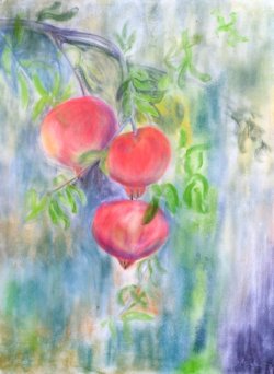 Pomegranate, 2002, pastel, 36 x 48 cm