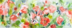Poppy, 2004, watercolor, 20 x 50 cm