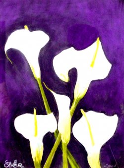 Sea Kale, 2000, pastel, 30 x 40 cm