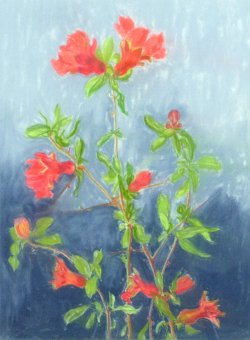 Pomegranate, 2000, pastel, 30 x 40 cm